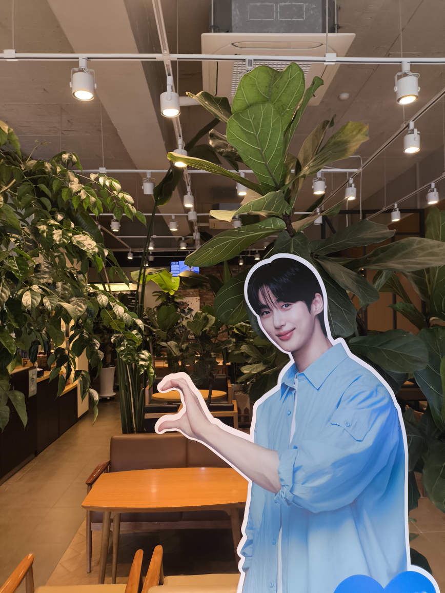 이디야 본서부병원점 5