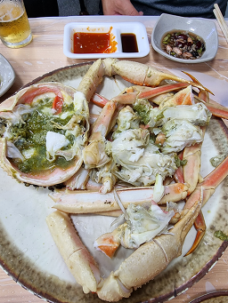 아바이마을활어회센타 5