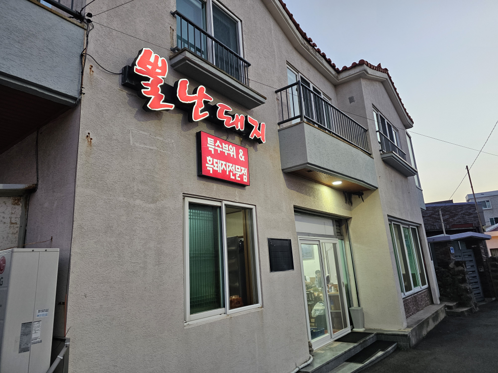 뿔난돼지 사진 2