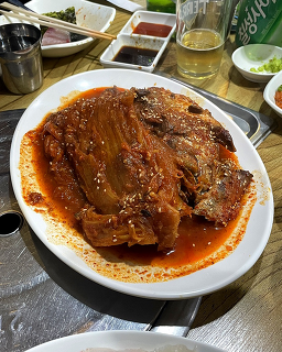 강남보물섬 사진 8