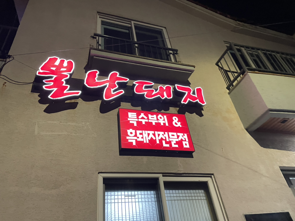 뿔난돼지 사진 5