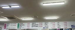 봄향 사진 2
