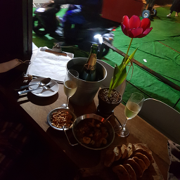 길바닥 사진 4