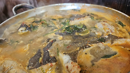 금성하우스 2