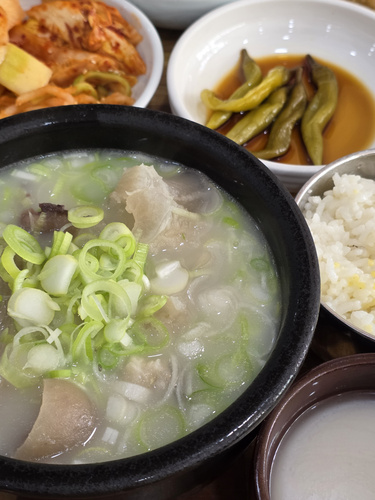 서울삼족탕 5