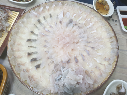 아바이마을활어회센타 10