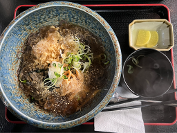 카가와 3