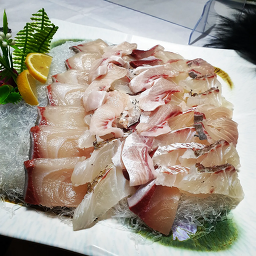 삼바리회센터 4
