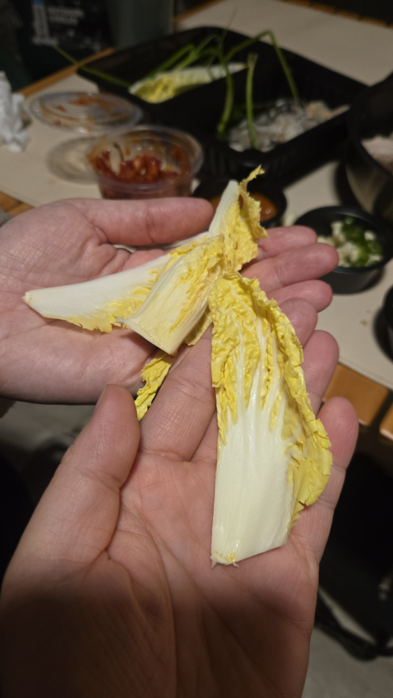 Doyajokbal (도야족발) 2