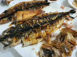 뜰채 사진 4