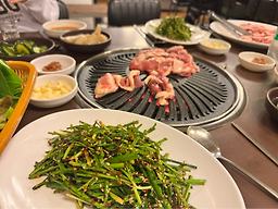 낙동생오리 4