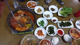 소섬바라기 사진 6