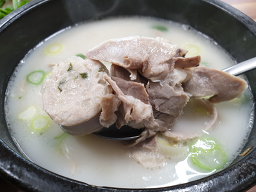 신토불이 5