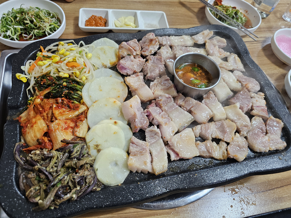 뿔난돼지 사진 7