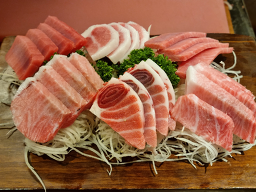정참치 사진 2
