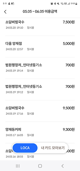 소담비빔국수 6