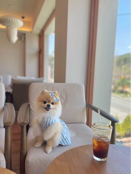 Teuwinhauseukape (트윈하우스카페) 2