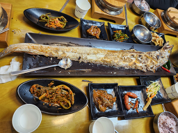 단풍나무 사진 6