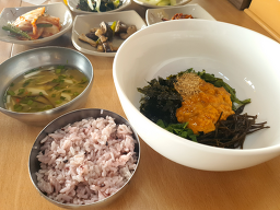 선인장 사진 7