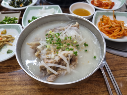 일억조 대표 사진