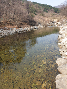 Bakganechueotang (박가네추어탕) 1
