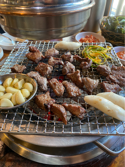 서울갈매기 사진 5