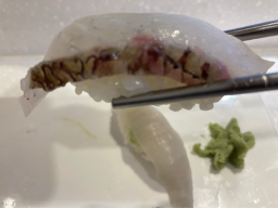 광수사 5