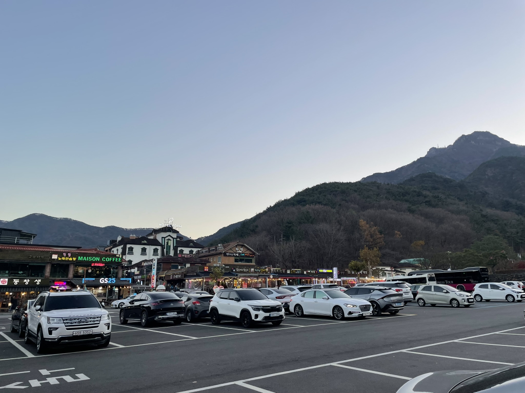 Gaeuldonghwa 1