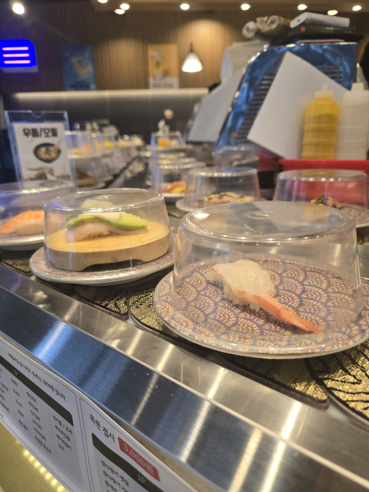 스시백과 사진 3