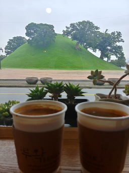 Gyeongbukgyeongjusinieokeulleomnuwak 5