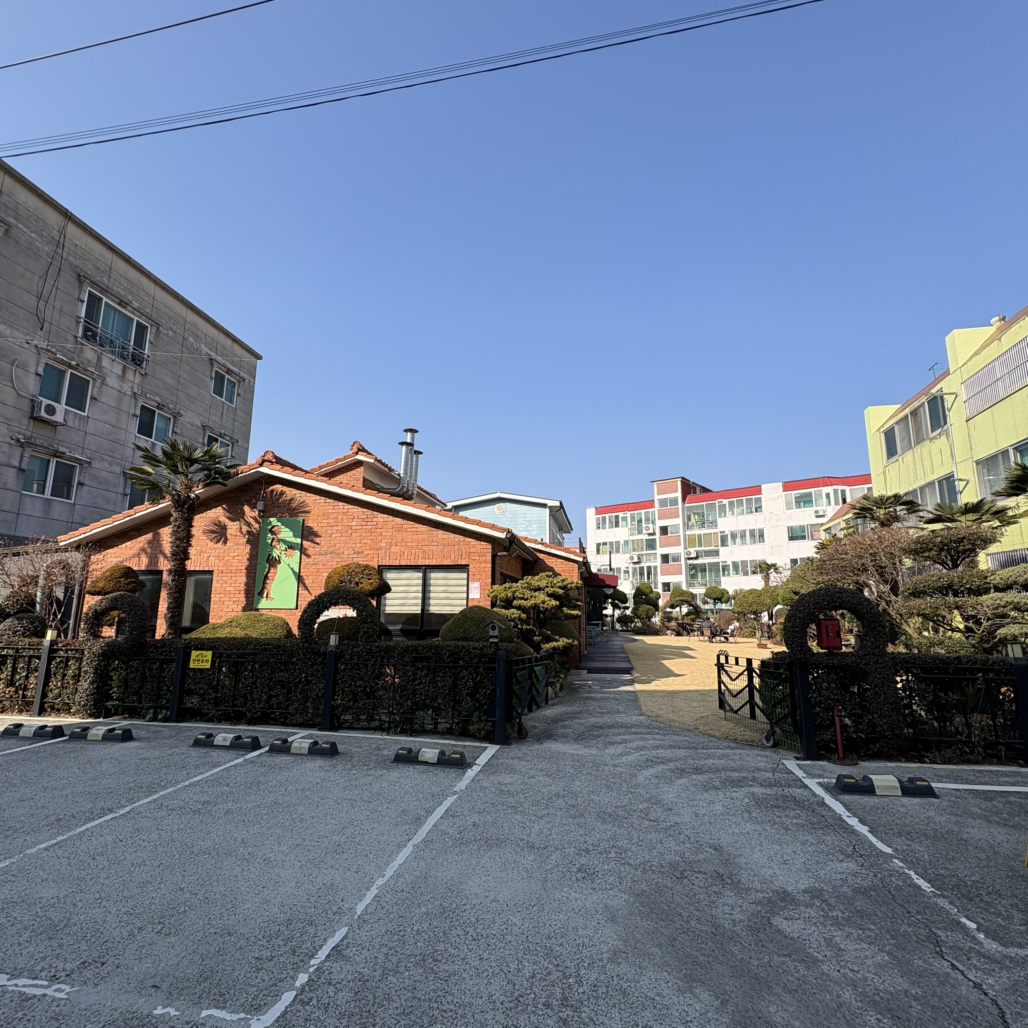 금은커피