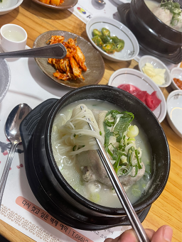 백제계삼탕 3