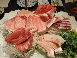 섭지향 사진 2
