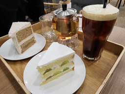 토텐 사진 7