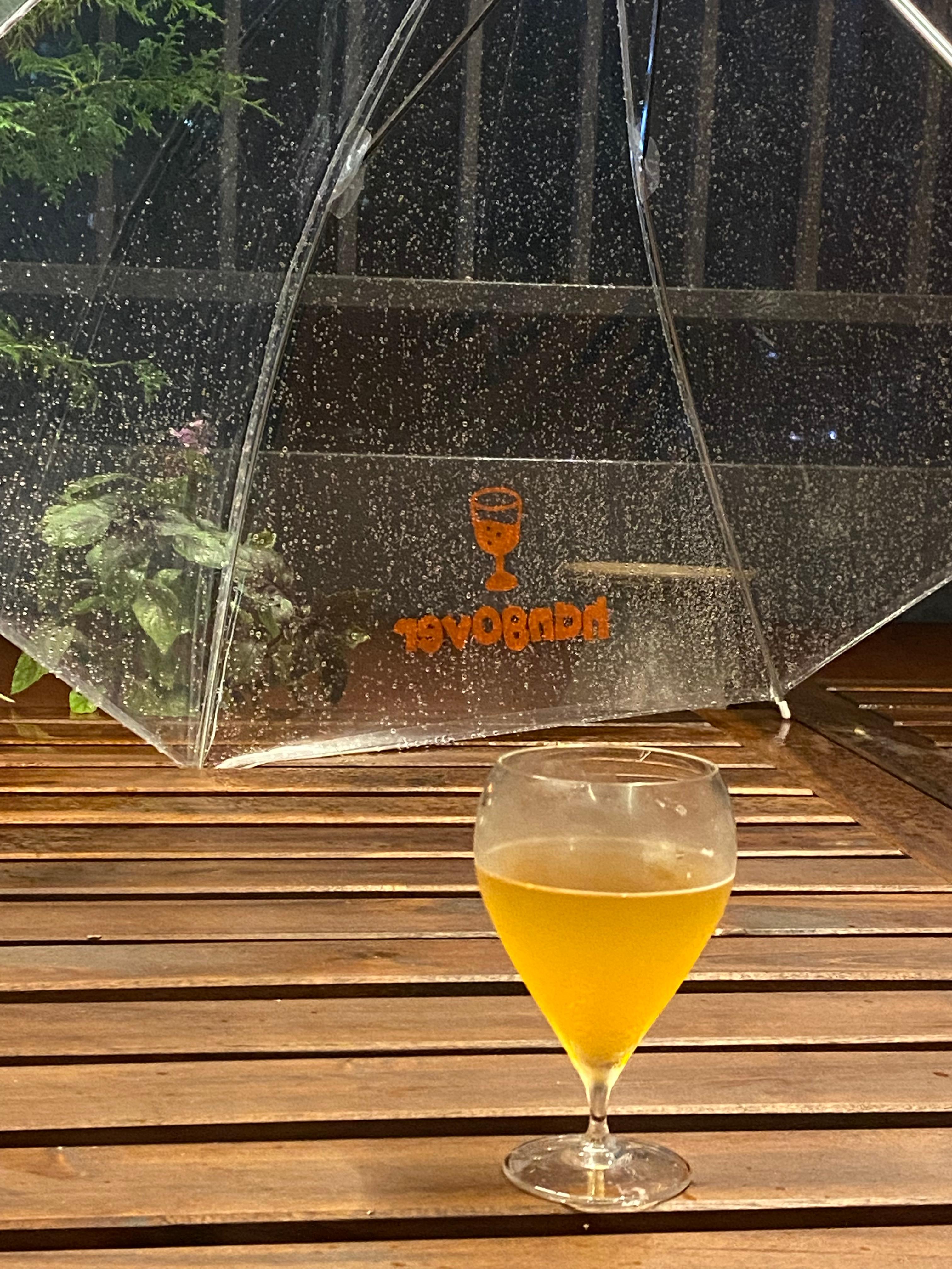 노유 사진 6