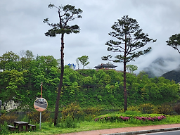 Sancheongyakchosikdang 6