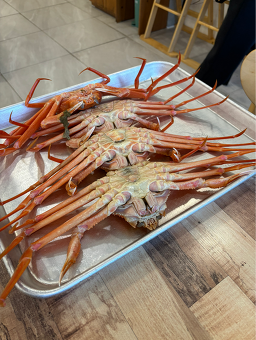 205대게직판장 3