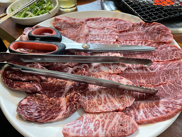 Jinseongsutbulsaeng gogi 5