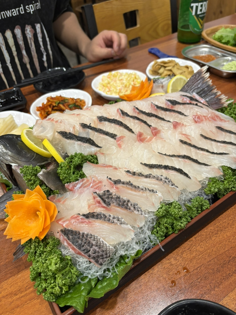 젊은어부 사진 8