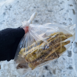 잔치집 1