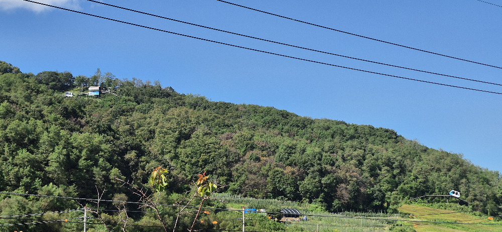 Opeundeomun (오픈더문) 2