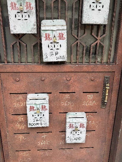 용용선생 마라도원 사진 5
