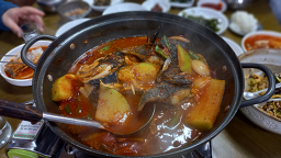 소섬바라기 사진 5