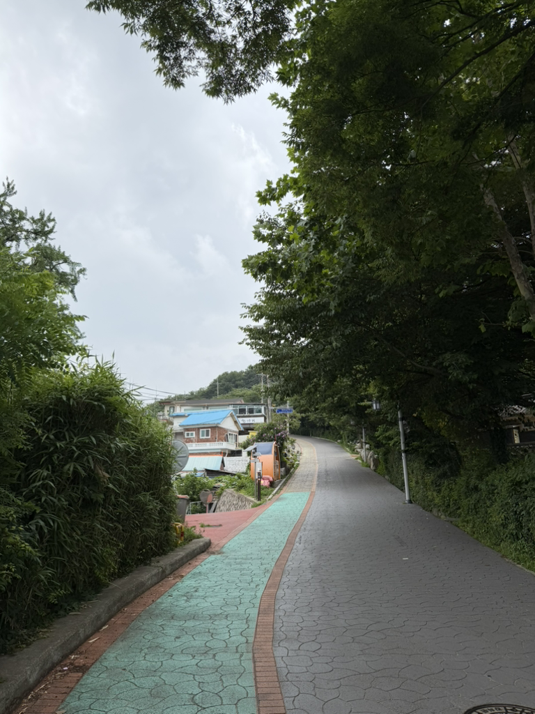 왕자정 1