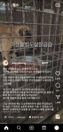 신안성식당 2