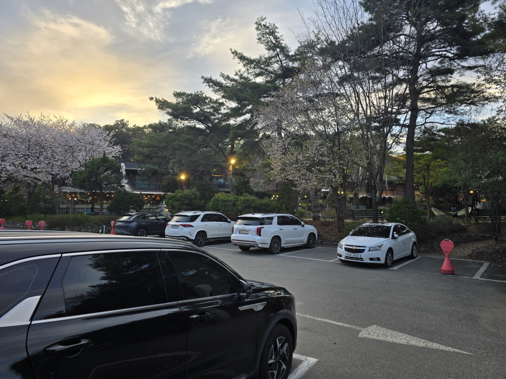 원조중원탑막국수 1