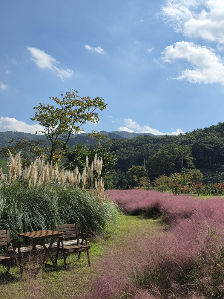 Mamereu (마메르) 3