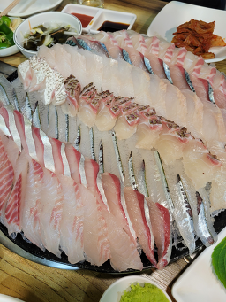 강남보물섬 사진 7