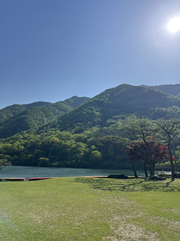 Oseugaelleori (오스갤러리) 1