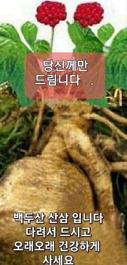 뽕잎가든 2